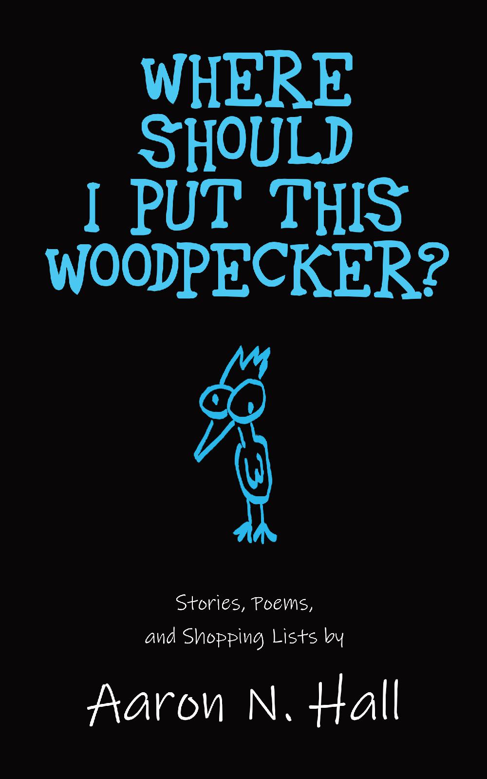 Where Should I Put This Woodpecker? - Paperback