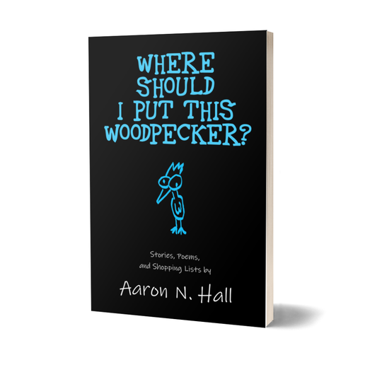 Where Should I Put This Woodpecker? - Paperback
